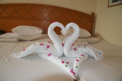DIVE INN - Egypt - Sharm El Sheikh - Ras Om El Sid
