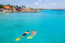 Divi Flamingo Beach Resort a Casino Bonaire - Bonaire - Kralendijk