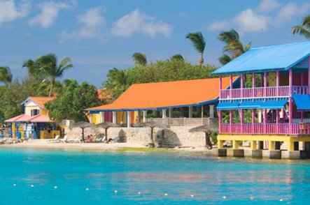 Divi Flamingo Beach Resort a Casino Bonaire - Bonaire - Kralendijk