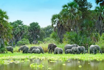 Divoká příroda Afriky - Tanzanie - Zanzibar