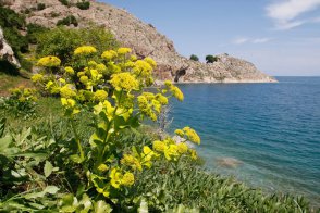 Divokým Kurdistánem - Turecko