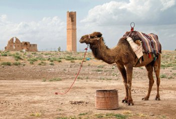 Divokým Kurdistánem - Turecko