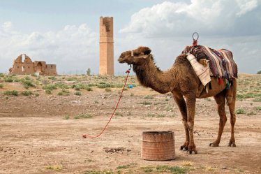 Divokým Kurdistánem