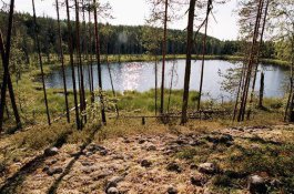 Do finských národních parků - Finsko