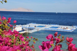 Domina Aquamarine - Egypt - Sharm El Sheikh