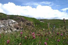 Dublin, Wicklow Mountains, Cliffs of Moher - Irsko