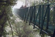 Dva přírodní poklady Kostariky + pobyt u moře - Kostarika