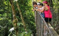 Dva přírodní poklady Kostariky + pobyt u moře - Kostarika