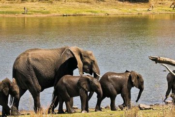 Dvojité safari - Jihoafrická republika