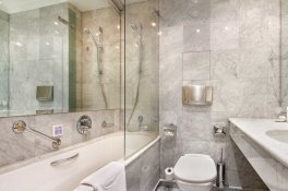 Dvorak Spa & Wellness Hotel - Česká republika - Karlovy Vary