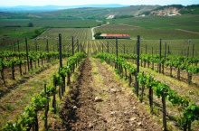 Eger - tokaj a termály - Maďarsko - Eger