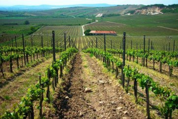 Eger - tokaj a termály - Maďarsko - Eger