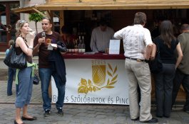 Eger, Tokaj,  Budapešť a Pilištínské vrchy, termály a víno - Maďarsko