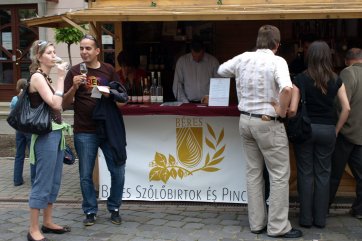 Eger, Tokaj, Budapešť, termály a víno - Maďarsko