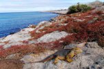 Ekvádor, Galapágy, Peru, Bolívie - Ekvádor