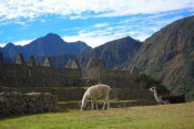 Ekvádor, Galapágy, Peru, Bolívie - Ekvádor