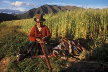 Ekvádor, Galapágy, Peru, Bolívie - Bolívie