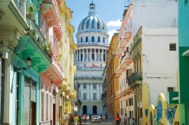 EL BOSQUE - Kuba - Havana
