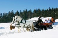 Familienhotel By Rainhardt - Rakousko - Hochficht - Aigen im Mühlkreis