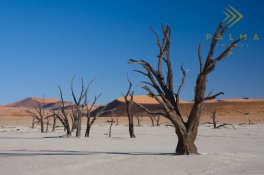 Fascinující Namíbie - Namibie