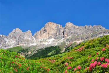 Fassa a Fiemme - top údolí Dolomit