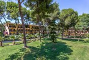 FERGUS Club Vell Marí - Španělsko - Mallorca - Can Picafort
