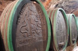 Festival Kurentovanje v Ptuji a wellness - Slovinsko