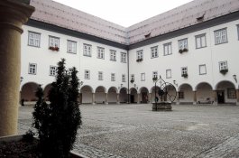 Festival Kurentovanje v Ptuji a wellness - Slovinsko