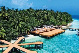 Fihalhohi Island Resort - Maledivy - Atol Jižní Male