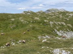 Fischbacherské Alpy MTB
