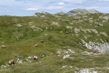 Fischbacherské Alpy MTB - Rakousko