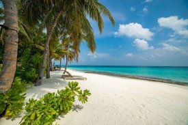 Recenze Hotel Fiyavalhu Maldives