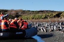 Fjords of Tierra del Fuego na lodi Stella Australis - Argentina - Patagonie