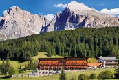 Floralpina - Itálie - Alpe di Siusi