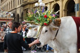 Florencie, perla renesance a velikonoční slavnost ohňů - Itálie - Toskánsko