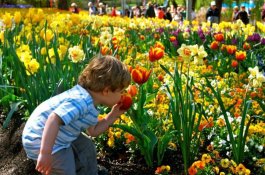 Floriade 2012 světová výstava zahradnického umění s ubytováním - Nizozemsko