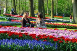 Floriade a Amsterdam - Nizozemsko
