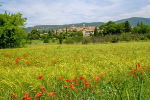 FRANCIE - KOUZLO STARÉ PROVENCE - Francie - Provence