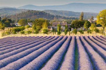 FRANCIE - KOUZLO STARÉ PROVENCE - Francie - Provence