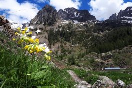 Francouzské Alpy - trek s ubytováním na chatách - Francie