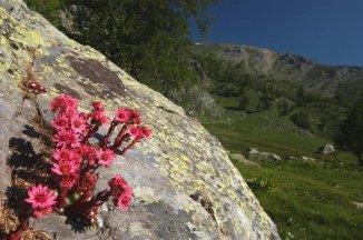 Francouzské Alpy - trek s ubytováním na chatách - Francie