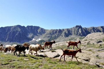 Francouzské Alpy - trek s ubytováním na chatách - Francie