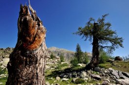 Francouzské Alpy - trek se stanem - Francie