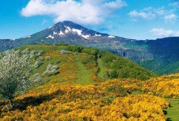 Francouzské sopky - kraj Auvergne a kaňon řeky Tarn - Francie