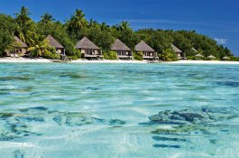 Gangehi Island Resort - Maledivy - Atol Severní Ari