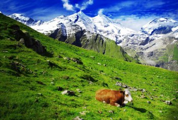 Glemmtal - kouzelné údolí, Salcburk a Zell am See - Rakousko