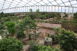 Gondwanaland a advent v Lipsku