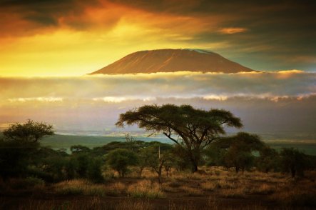 Gorily ve Rwandě a safari v Keni - Keňa