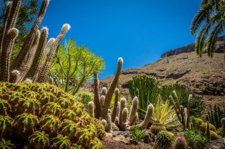 GRAN CANARIA - "OSTROV VĚČNOSTI" - Kanárské ostrovy - Gran Canaria