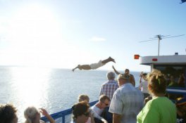 Guatemala, Nikaragua, Kostarika, Panama - Salvador